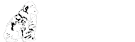 The Jolly Dog School